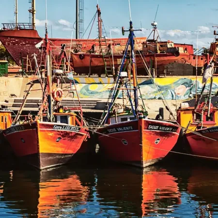 Pesca ilegal y registro de información: Diputados analiza un nuevo sistema de trazabilidad