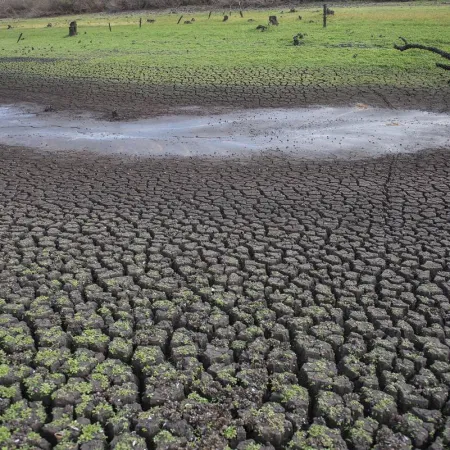 Uruguay mide la brecha entre preocupación climática y acción colectiva