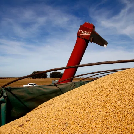 Impuestos: el Estado se queda con $58 de cada $100 que genera el campo
