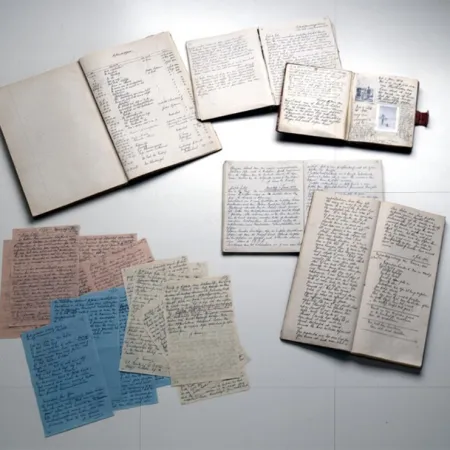 Memoria del Mundo: cómo decide la UNESCO qué documentos merecen ser preservados