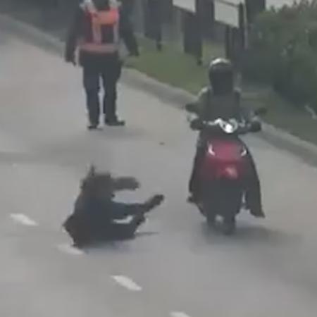 Una motociclista escapó de un control, atropelló a una agente y desató la persecución