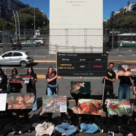 LATAM quedó en el centro de un reclamo por el uso de huevos de gallinas enjauladas
