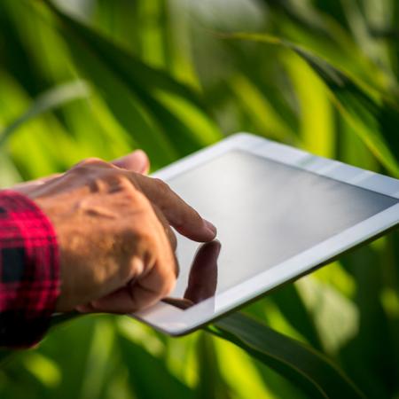 Apuntes sobre la actividad agropecuaria en la era de la información inteligente