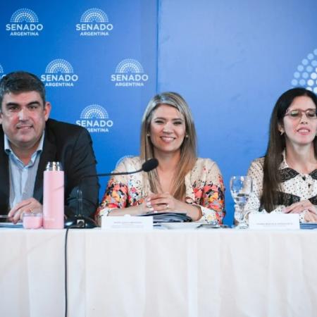 El Senado retoma una reforma clave y pone el foco en las internaciones involuntarias
