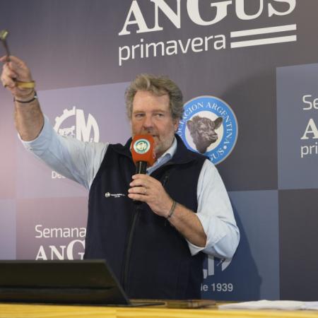 Remates ganaderos: los precios que dejó la Semana Angus de Primavera en Cañuelas