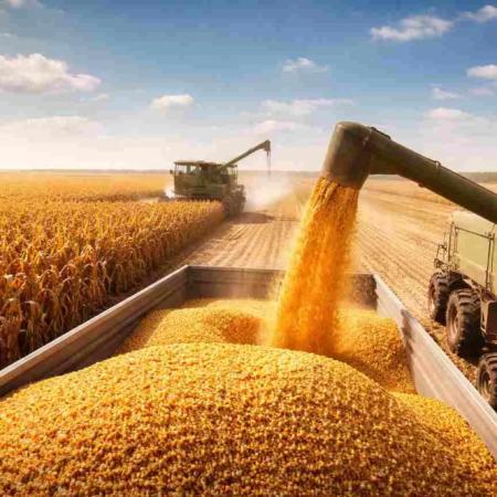Día de la Agricultura: la historia de Esperanza que cambió el campo argentino