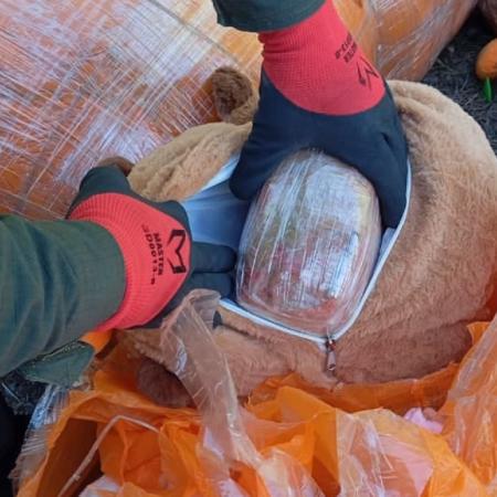 Qué se sabe del operativo antidroga que terminó con 54 kilos ocultos en peluches de carpinchos
