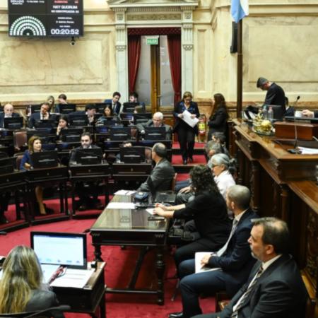 Biocombustibles: el Senado aprobó el proyecto del oficialismo y pasará a Diputados