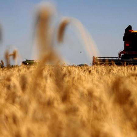 Presupuesto 2027: cuánto prevé recaudar Milei por retenciones y cuánto destinará al campo