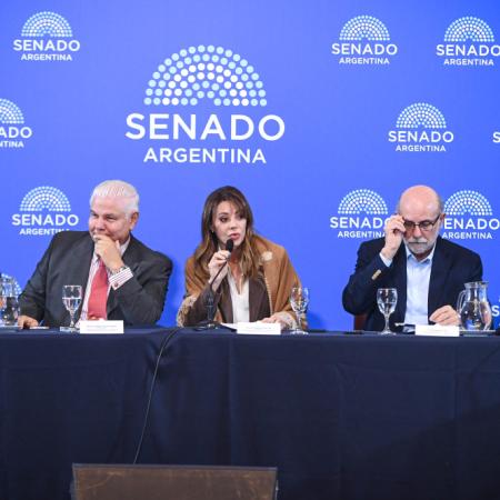 Ley de Biocombustibles: Idígoras respaldó el dictamen y CEPREB lo rechazó