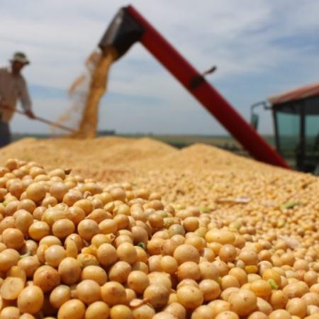 Récord para el agro: proyectan exportaciones de granos por USD 42.200 millones