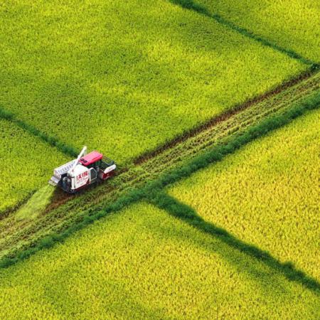 China fija metas para llevar agua corriente al 98% del área rural y reforzar diques