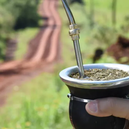 ¿Otro escándalo como el del INTA? El Gobierno empuja un polémico nombramiento en Misiones