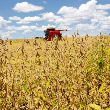 Uruguay exportó USD 1.398 millones en septiembre, pero el acumulado crece apenas 1%