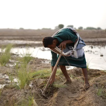 Yemen recibirá €10 millones para impulsar agricultura, empleo y gestión del agua