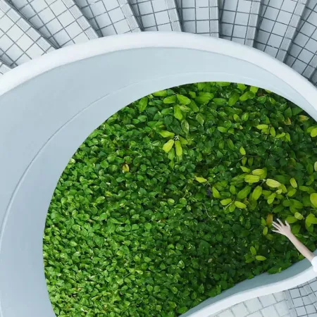 Brasil enfrenta el balotaje con R$ 49.950 millones verdes aún por invertir