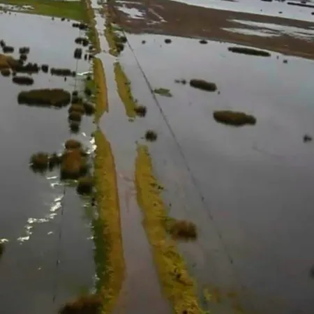 El Niño ya complica al campo bonaerense: lluvias de hasta 300 mm y caminos cortados