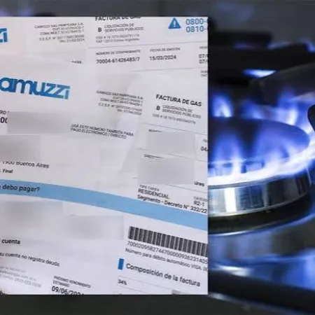 Javier Milei promulgó la ley que recorta Zona Fría: ¿qué pasará con la tarifa de gas?