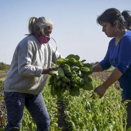 Día de la Mujer Rural: por qué se celebra el 15 de octubre en Argentina y el mundo