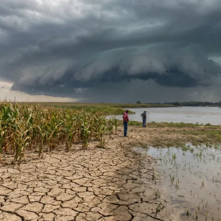El Niño amenaza cosechas y pesca: las regiones con sequías e inundaciones