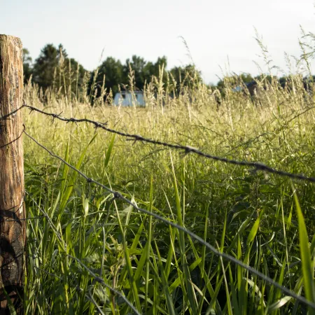 Diputados vota el proyecto de vandalismo rural: de qué se trata y por qué genera debate