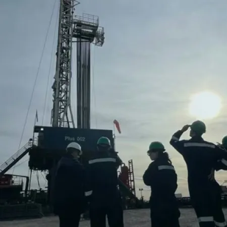 Pluspetrol suma un megaproyecto al RIGI y promete más trabajo en Neuquén