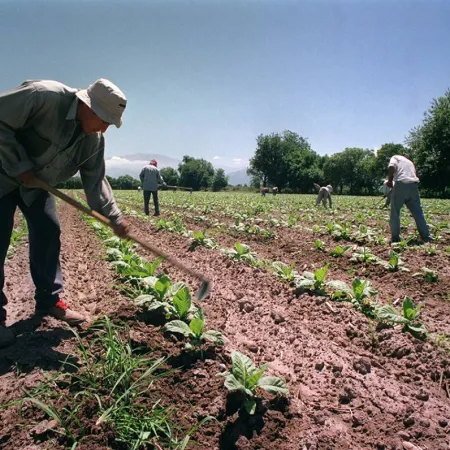 Sin retenciones, el agro podría generar más de 800.000 empleos en diez años