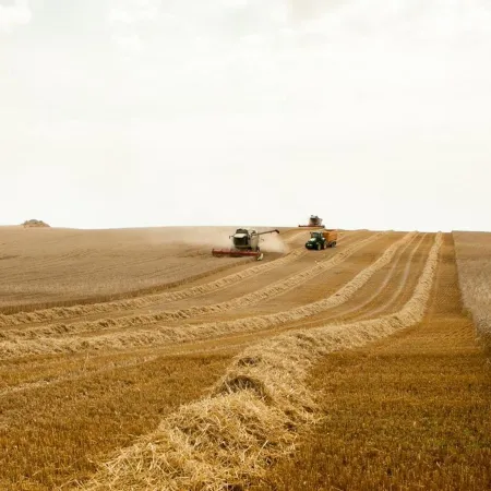 La UE negocia más cultivos proteicos para reducir las importaciones de soja