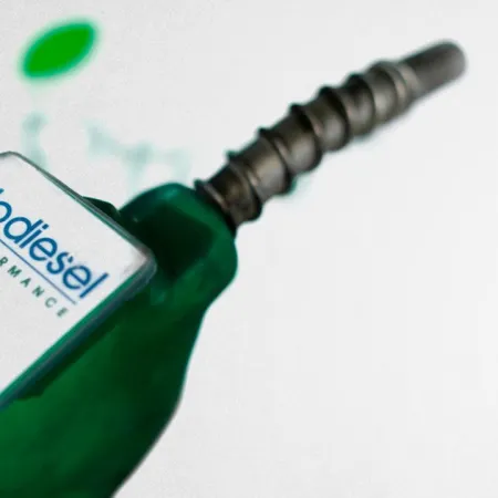 Biocombustibles: alertan por cierres de plantas en el interior si avanza la nueva ley