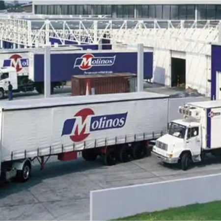 Molinos va por Ayudín: qué marcas sumará la dueña de Lucchetti y Matarazzo