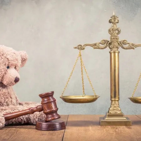 Abogado del Niño: el proyecto que busca ordenar la defensa infantil en Buenos Aires