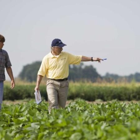 Elecciones 2027 y El Niño: las dudas que complican las inversiones del campo