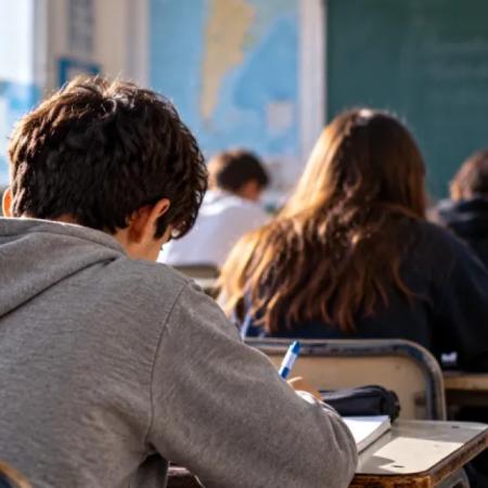 Sólo 19 de cada 100 alumnos de 15 años cursan la escuela en tiempo y forma