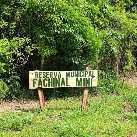 Nueva reserva natural en Misiones: la insólita multa que arriesga quien la dañe