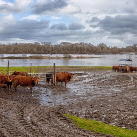 Inundaciones: las recomendaciones del RENATRE para cuidar a los trabajadores rurales