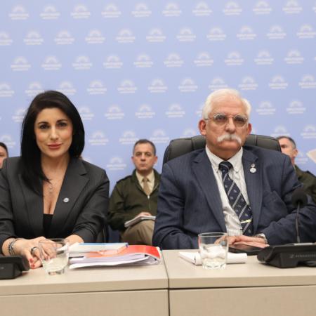 Ley Malvinas de Milei: los 6 cambios que hizo LLA para destrabar el dictamen en Diputados