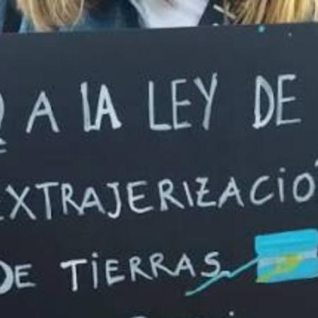 Ley de Tierras: qué decidió la Justicia sobre la venta de terrenos a extranjeros
