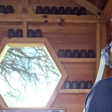 Respirar aire de la colmena: la inédita propuesta relax que es furor en un pueblo pampeano