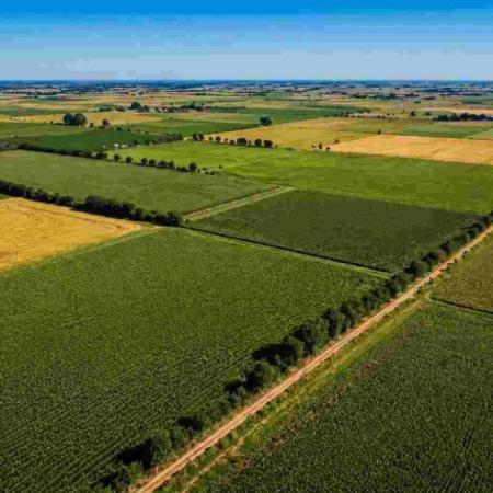 Tierras rurales: qué ordenó la Justicia tras el pedido de la Defensoría bonaerense