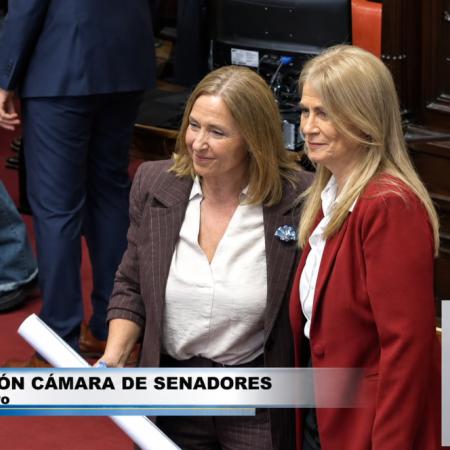 Una docente juró en lugar de Montenegro en el Senado bonaerense: sus dos promesas