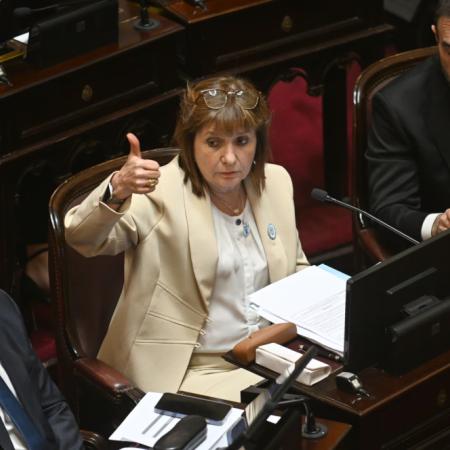 Ley de Salud Mental: qué cambios busca aprobar Patricia Bullrich en el Senado