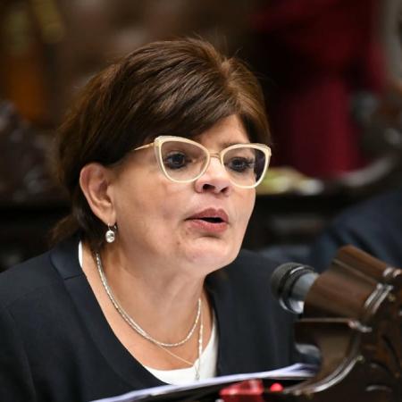 Firmó para voltear el DNU 70 de Milei en Diputados y faltó: quién es María Inés Zigarán