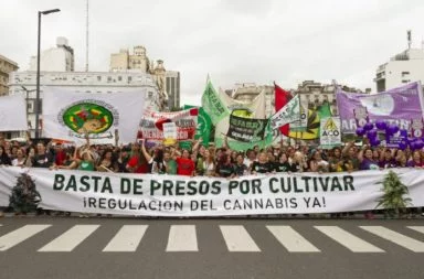 Marcha Nacional de la Marihuana: Argentina reclama una alternativa a la prohibición