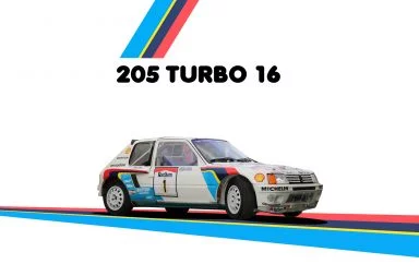 Peugeot 205 turbo 16 ex Carlos Reutemann