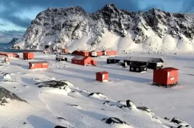 Milei ganó hasta en la Antártida: sacó más del 60% de los votos