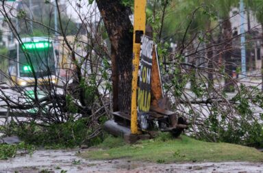 Temporal de viento y lluvia causó anegamientos, caída de árboles y cortes de luz en Corrientes