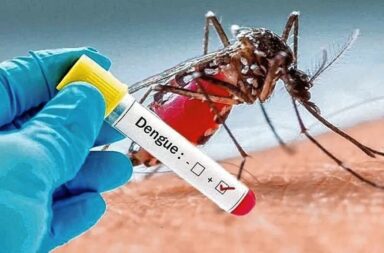 Los casos de dengue subieron 80%, hay 18 fallecidos y el brote se extiende en el interior bonaerense