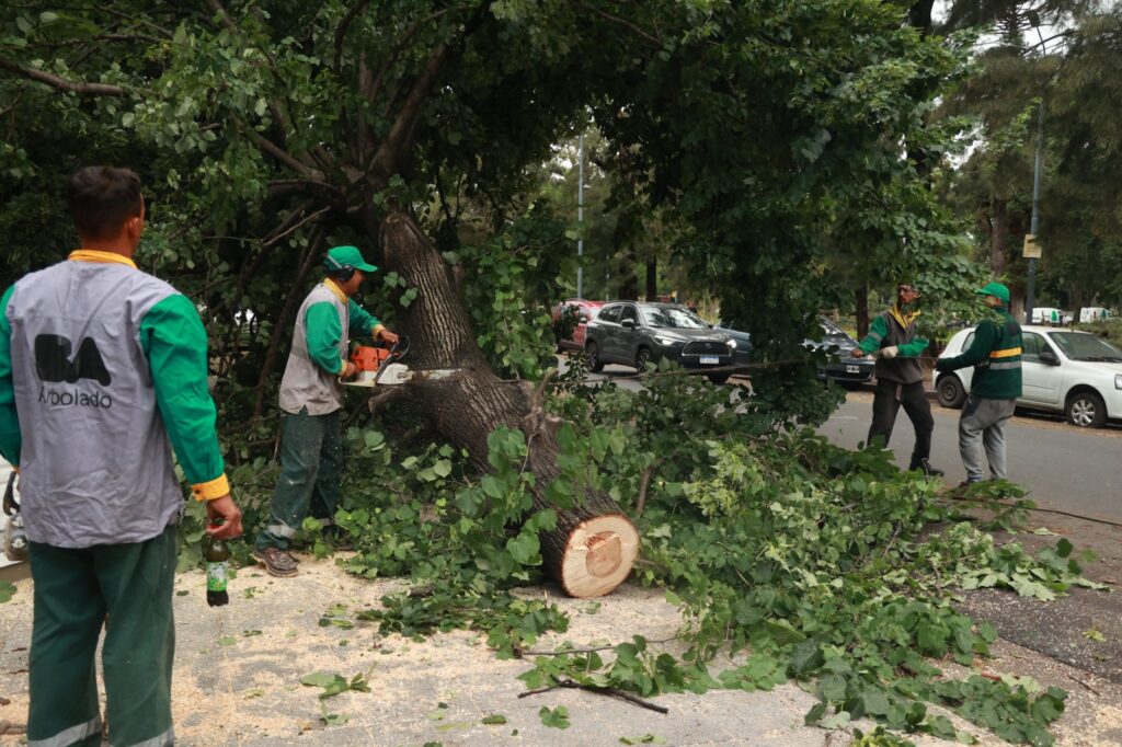 Tras el temporal siguen los operativos del Gobierno porteño en las calles de la ciudad 