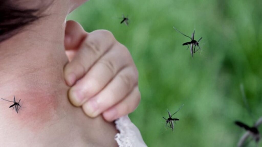 Dengue: son 31 los municipios en brote y los casos aumentaron un 76% en una semana