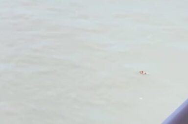 Búsqueda en el mar: aseguran haber visto un kayak por la zona de San Bernardo